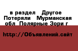  в раздел : Другое » Потеряли . Мурманская обл.,Полярные Зори г.